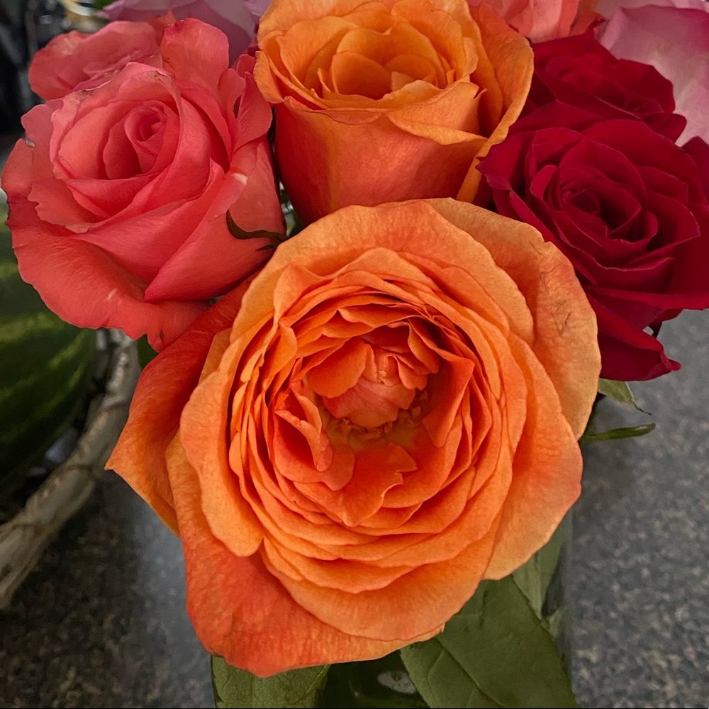 Meet your Posher, Aridai